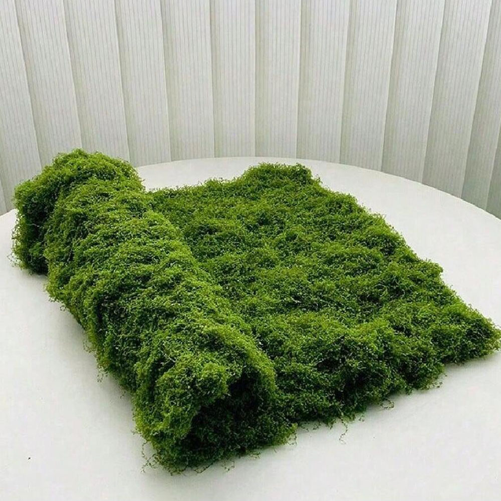Preserved Moss Sheet - 1*1m falso musgo diy artesanato grama