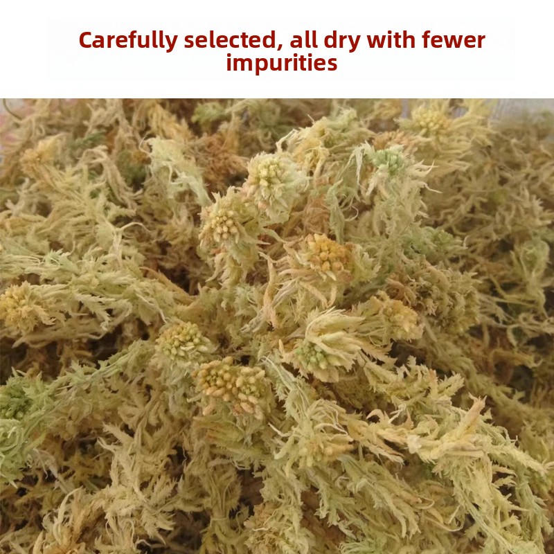 Musgo Sphagnum Seco de Grau A, - Preserved Moss Sheet avaliação e preço