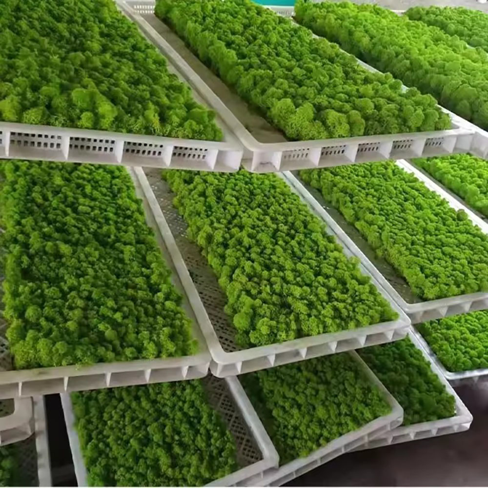 Musgo Artificial Lu Rui Simula - Preserved Moss Sheet avaliação e preço