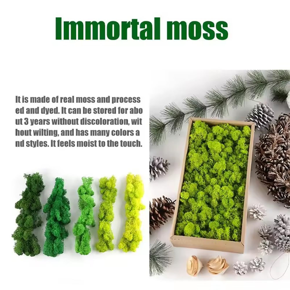 Musgo Artificial Lu Rui Simula - Preserved Moss Sheet avaliação e preço